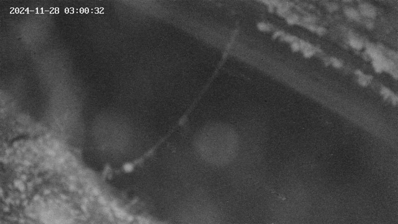 area10-20241128030034.jpg