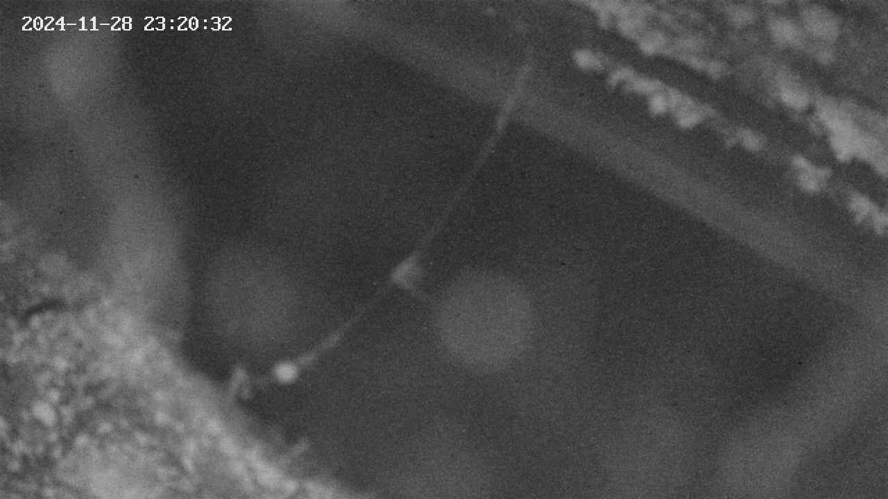 area10-20241128232034.jpg