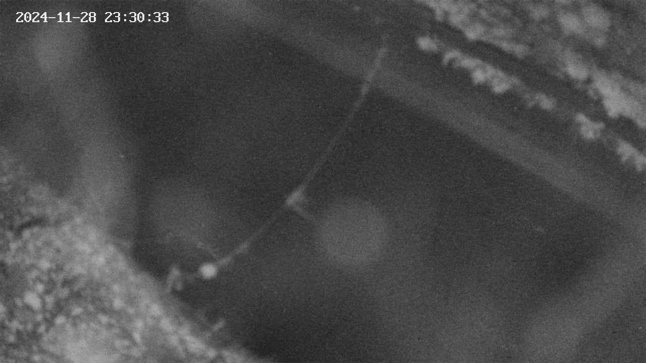 area10-20241128233035.jpg