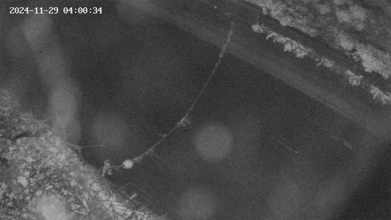 area10-20241129040035.jpg