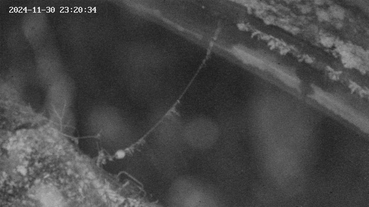 area10-20241130232036.jpg