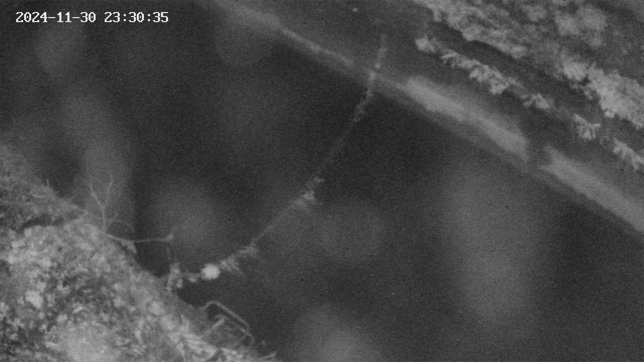 area10-20241130233036.jpg