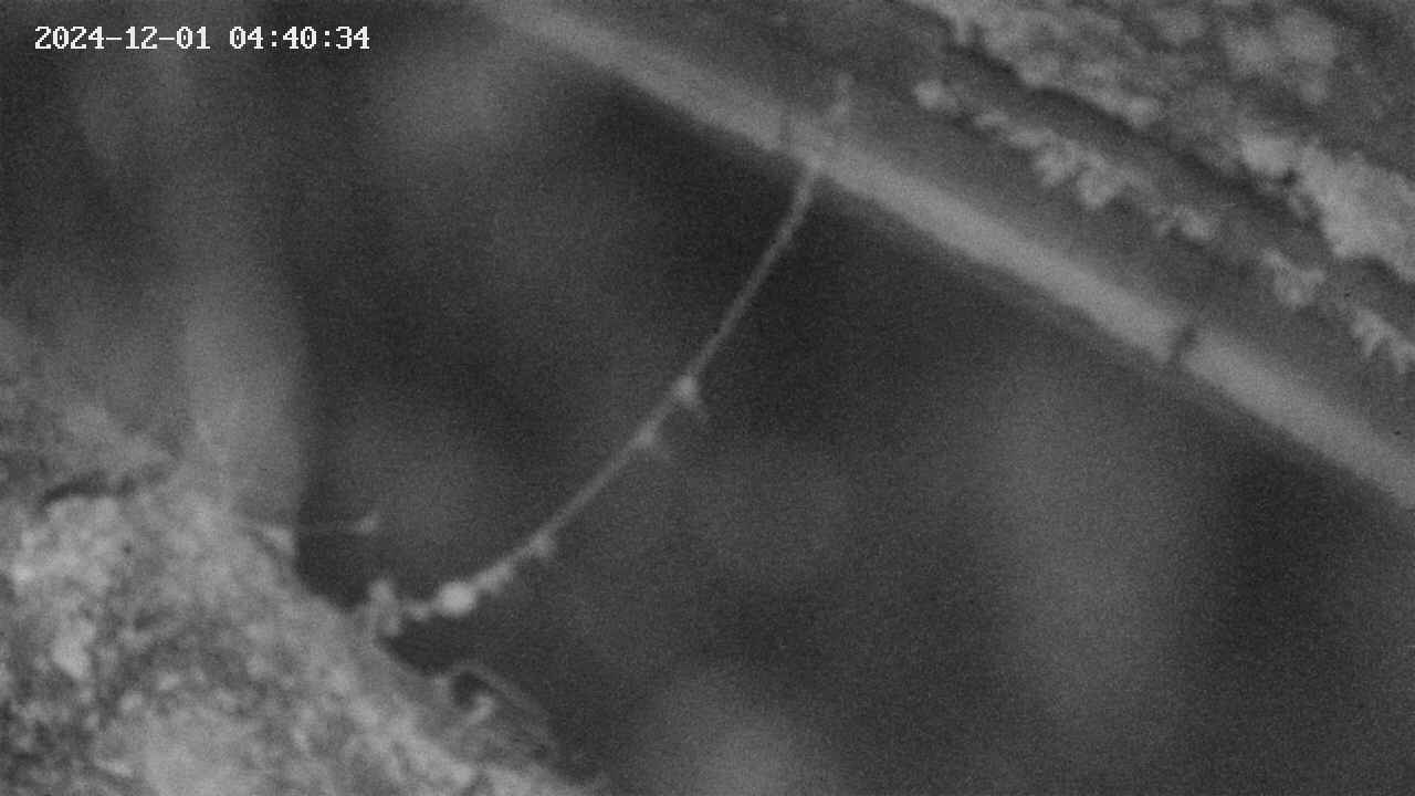 area10-20241201044035.jpg