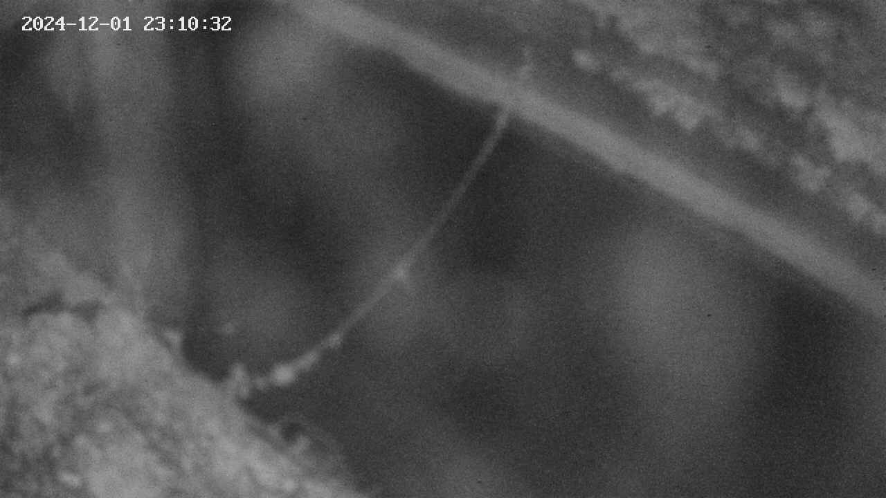 area10-20241201231034.jpg
