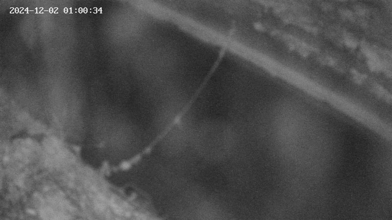 area10-20241202010035.jpg