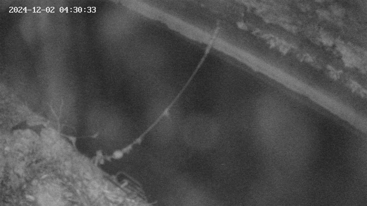 area10-20241202043034.jpg