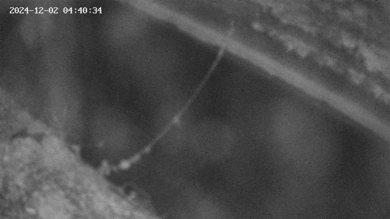 area10-20241202044035.jpg