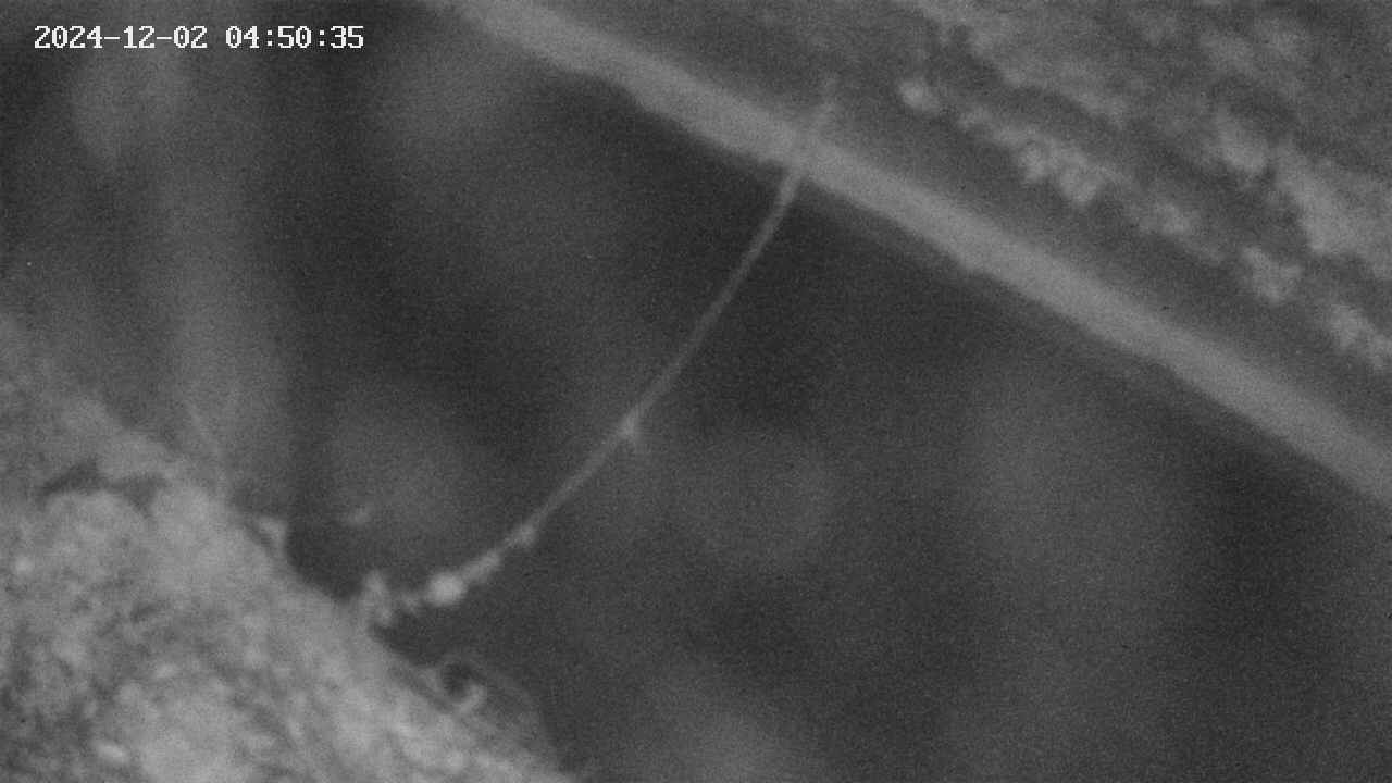 area10-20241202045035.jpg