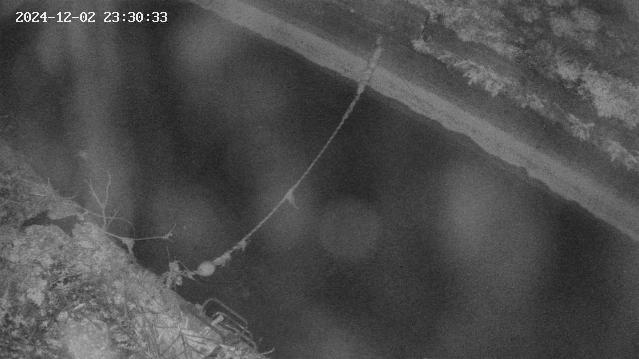 area10-20241202233035.jpg