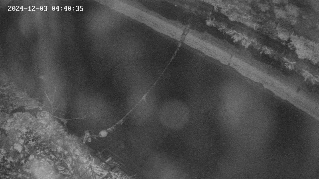 area10-20241203044035.jpg