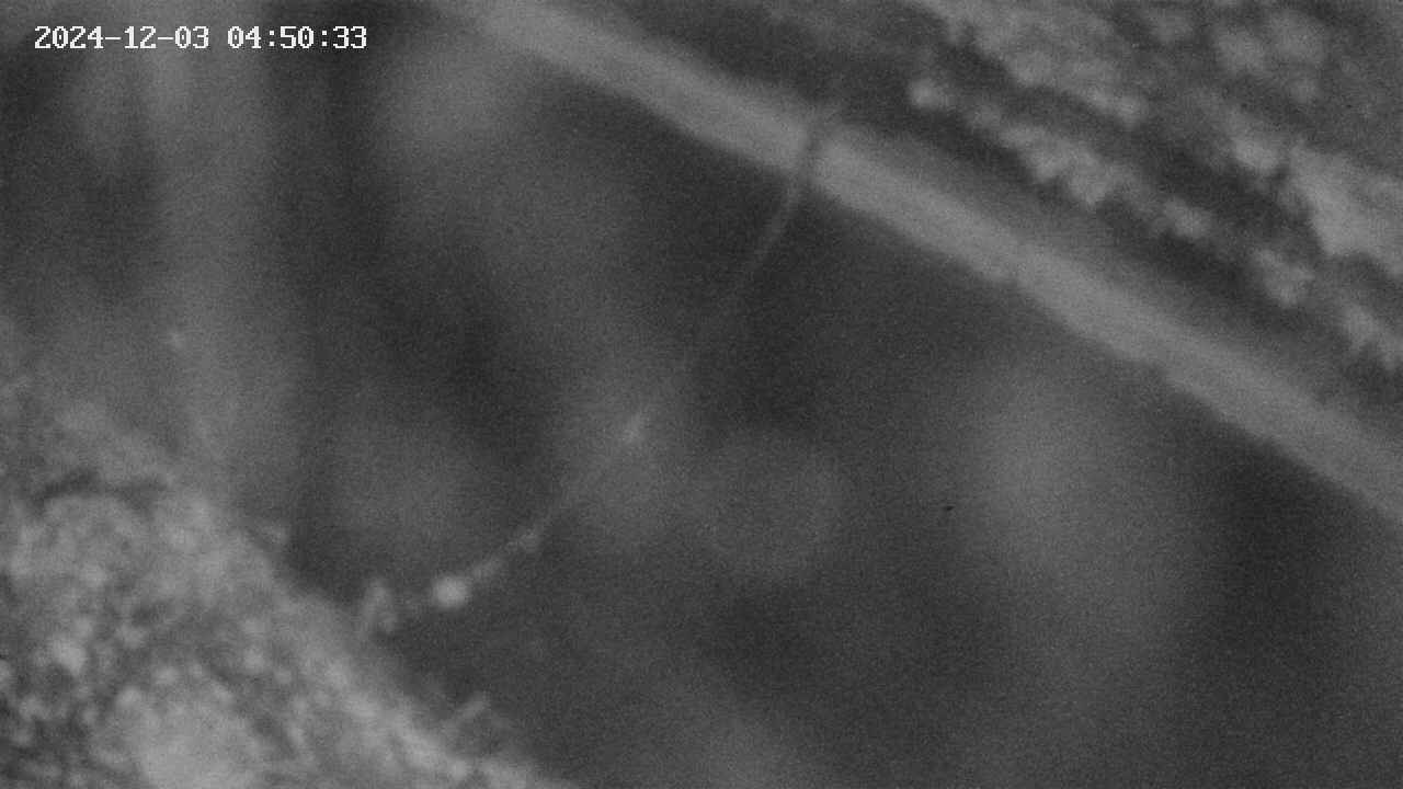 area10-20241203045033.jpg