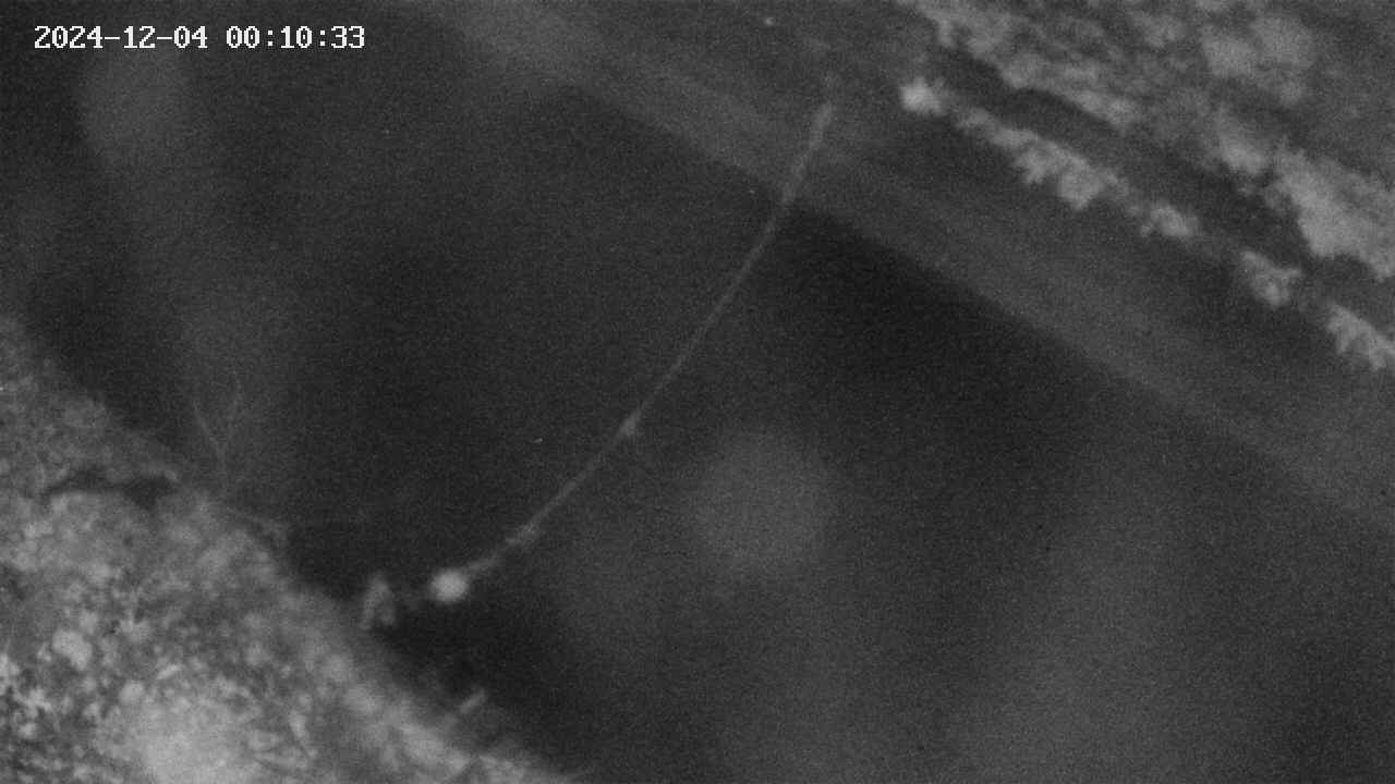 area10-20241204001035.jpg