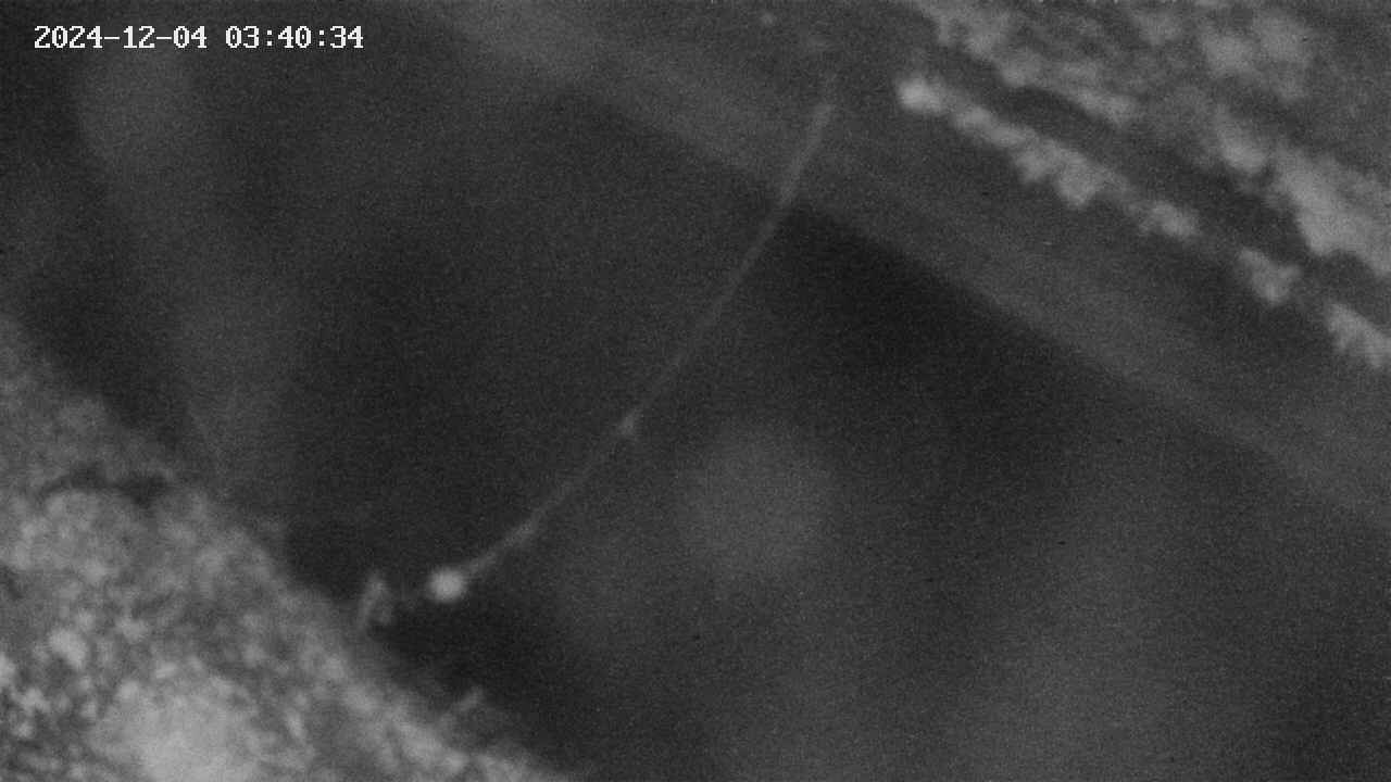 area10-20241204034035.jpg