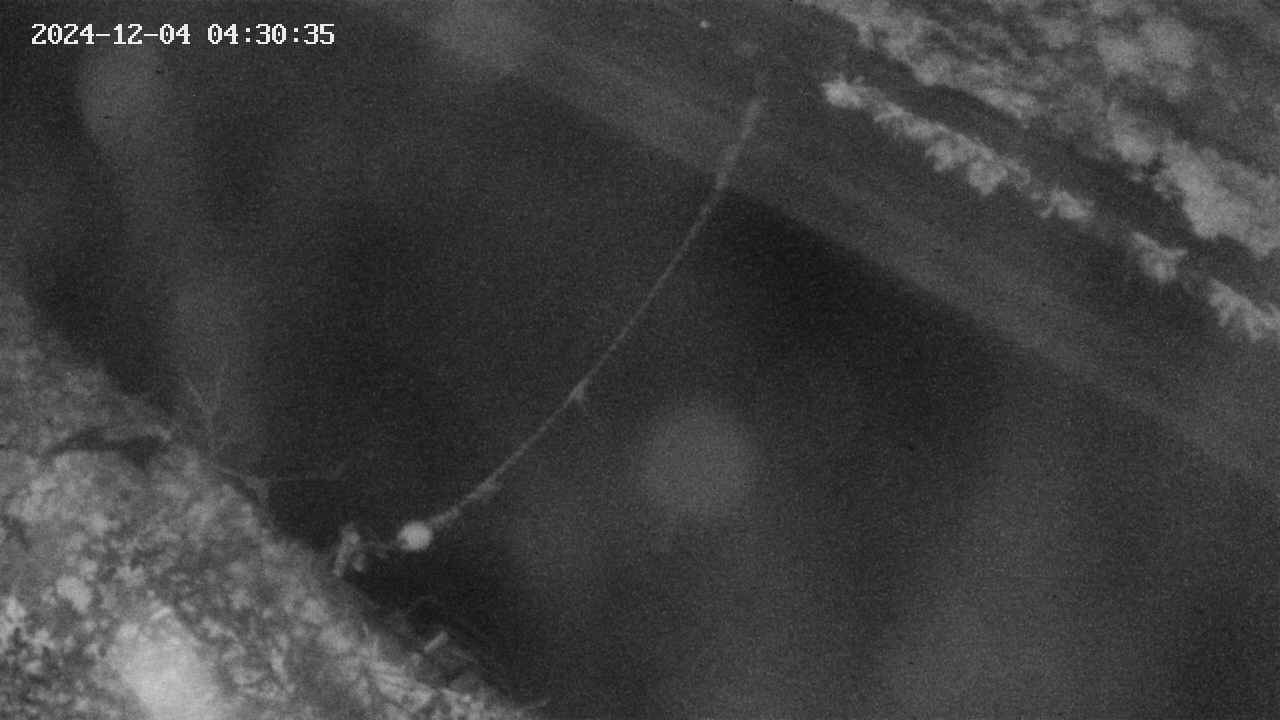 area10-20241204043035.jpg