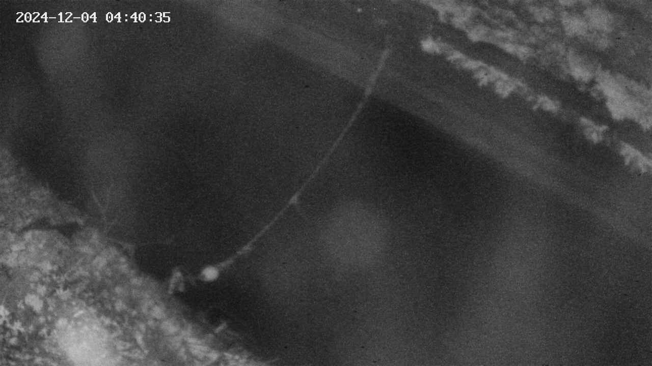 area10-20241204044036.jpg