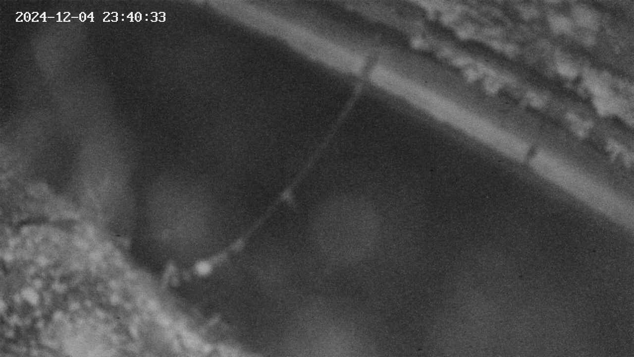 area10-20241204234034.jpg