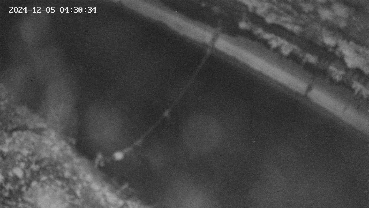 area10-20241205043035.jpg