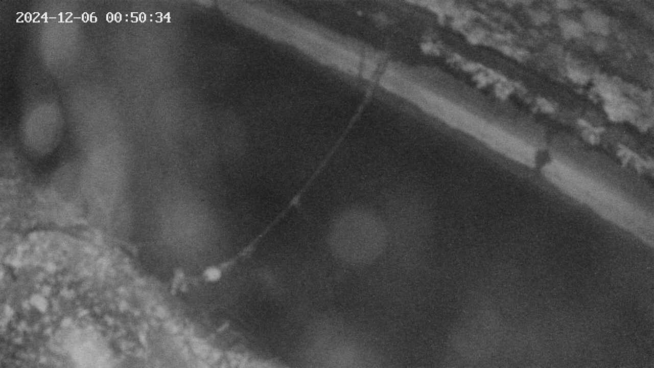 area10-20241206005035.jpg