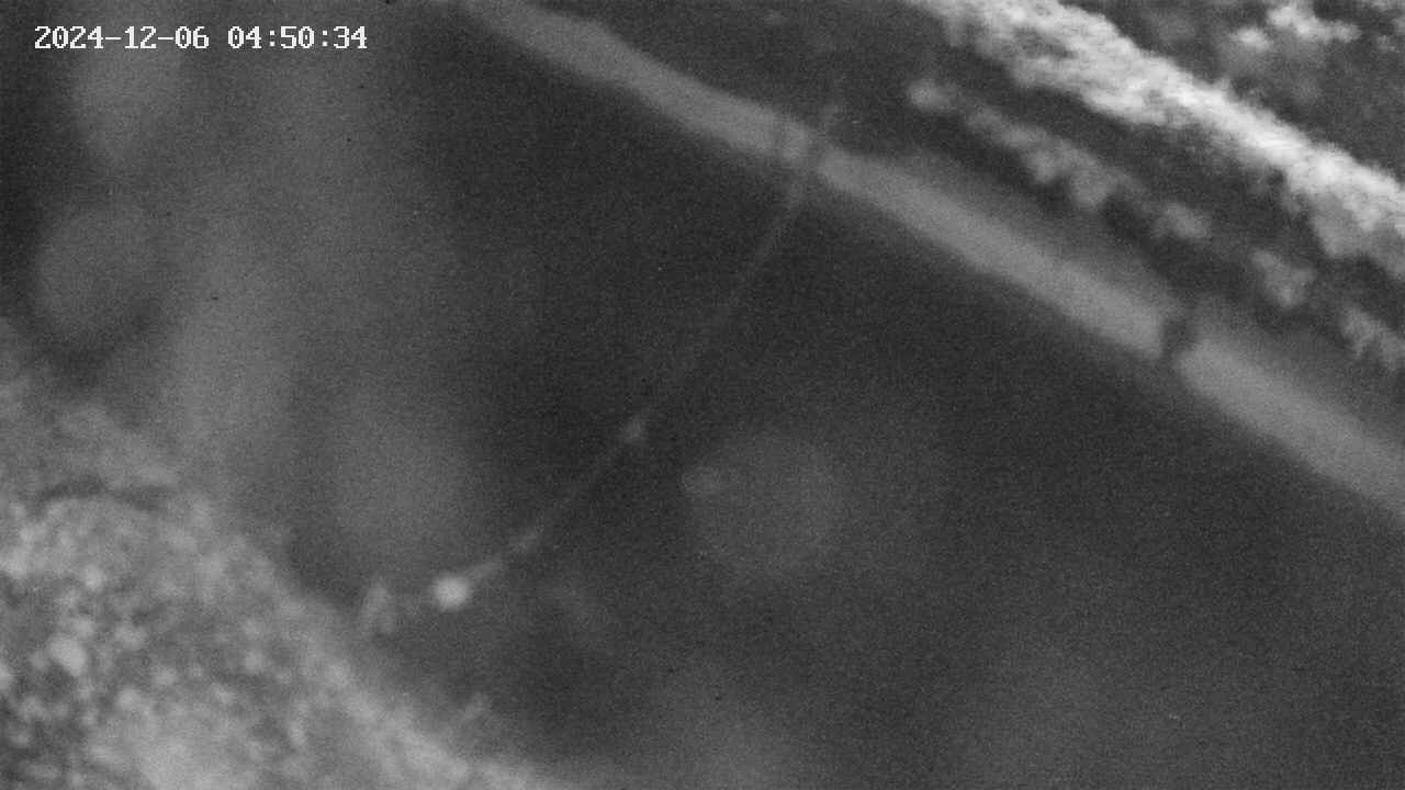 area10-20241206045035.jpg
