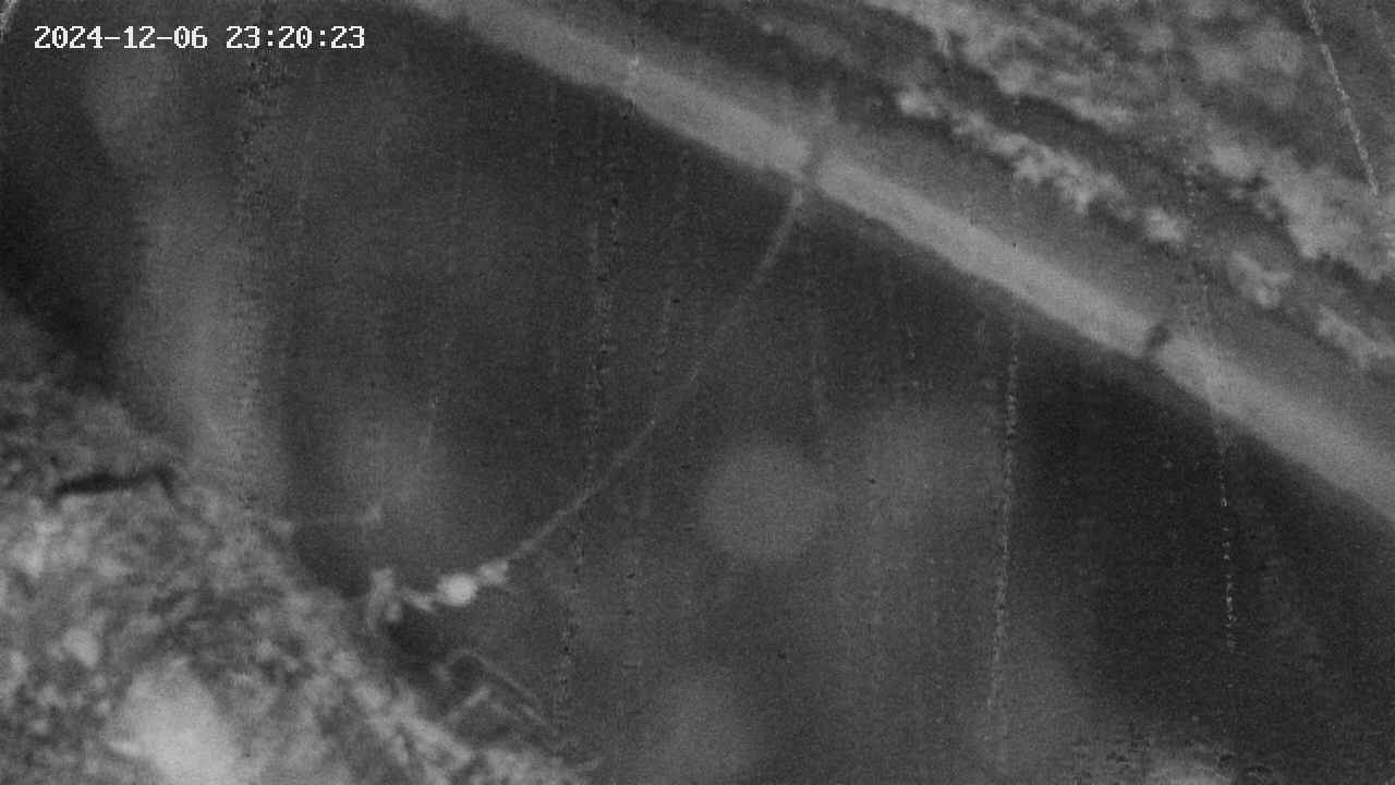 area10-20241206232034.jpg