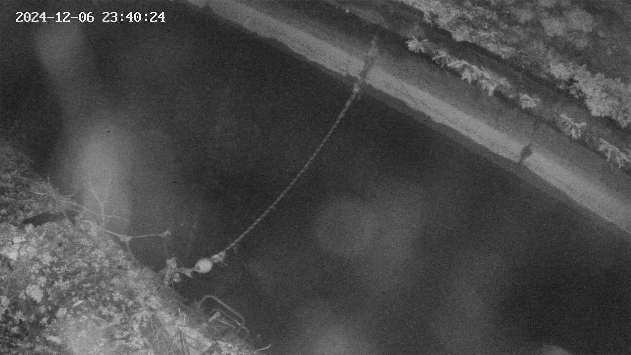area10-20241206234035.jpg