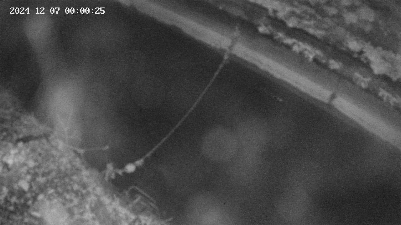 area10-20241207000036.jpg