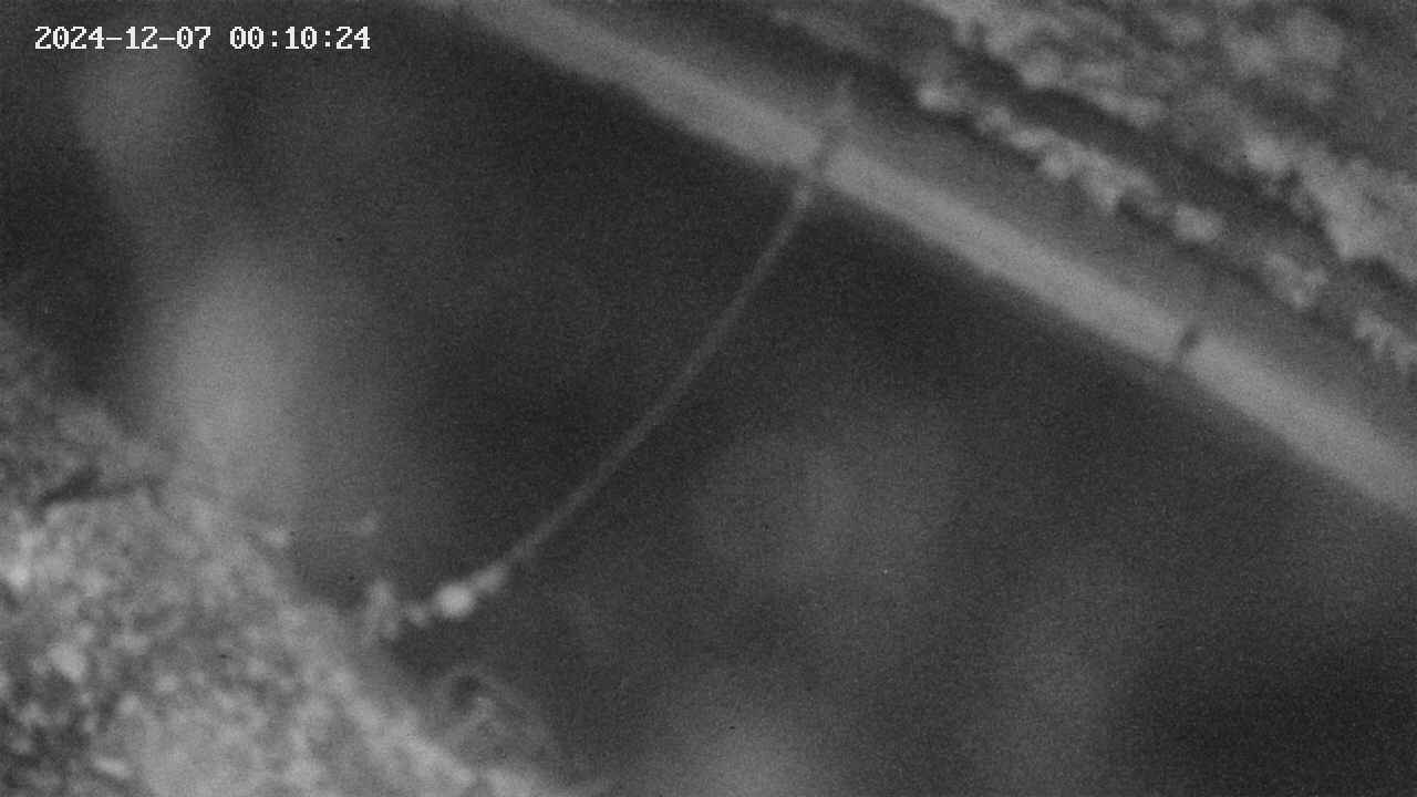 area10-20241207001035.jpg