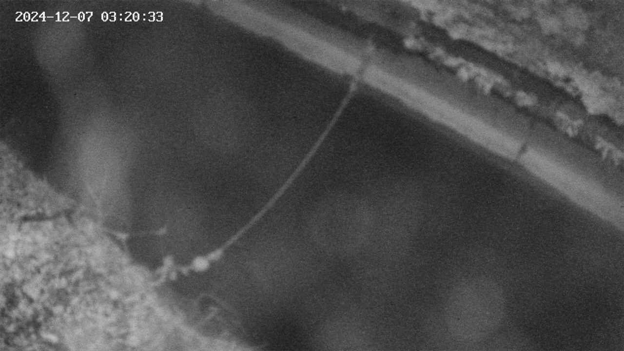 area10-20241207032034.jpg