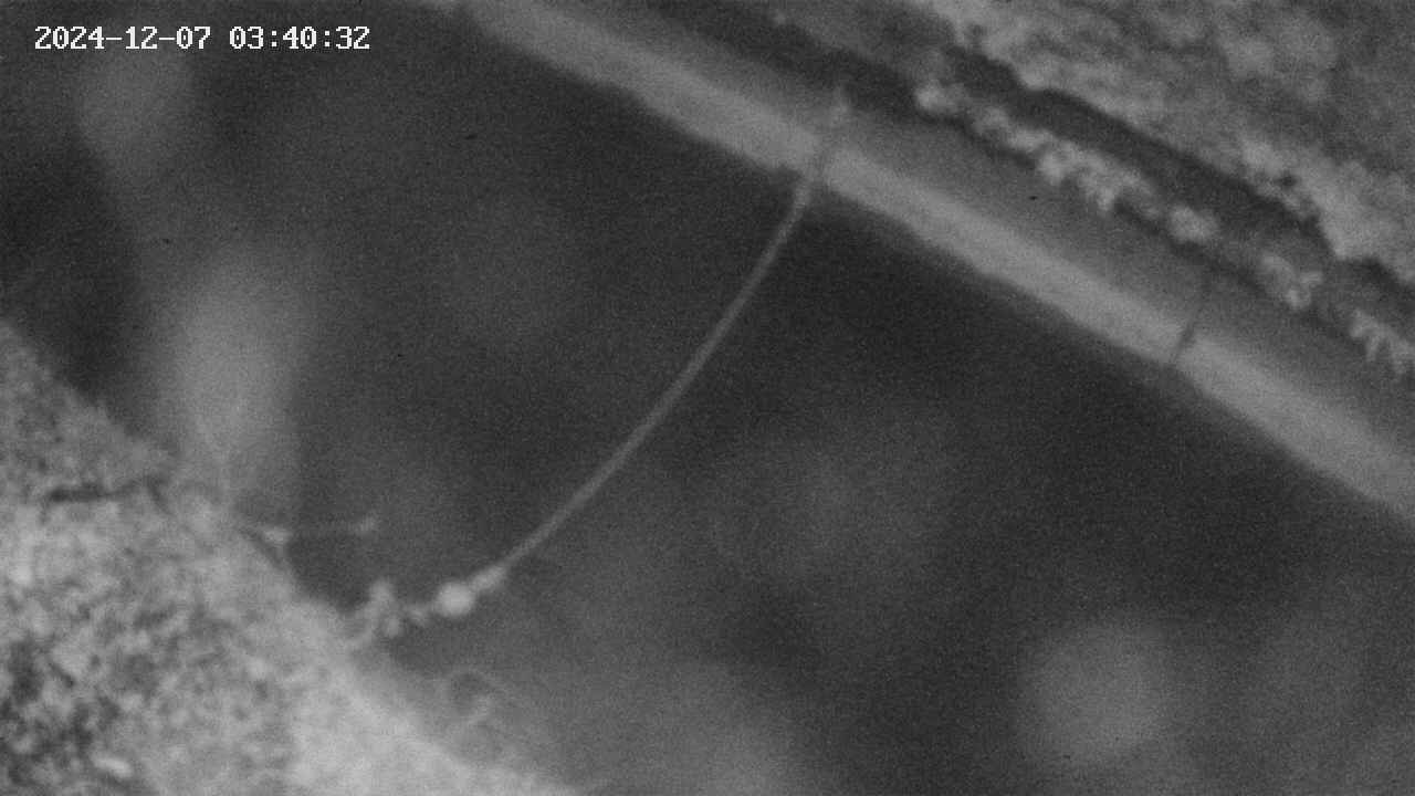 area10-20241207034033.jpg