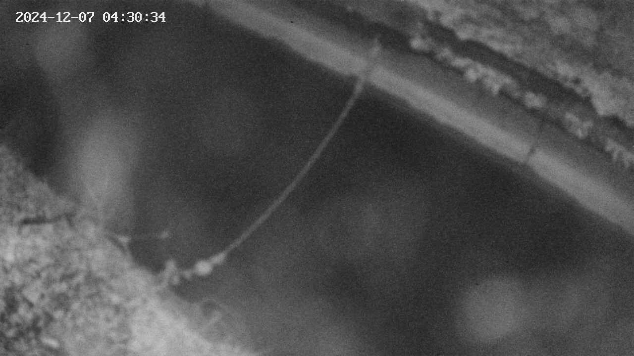 area10-20241207043035.jpg