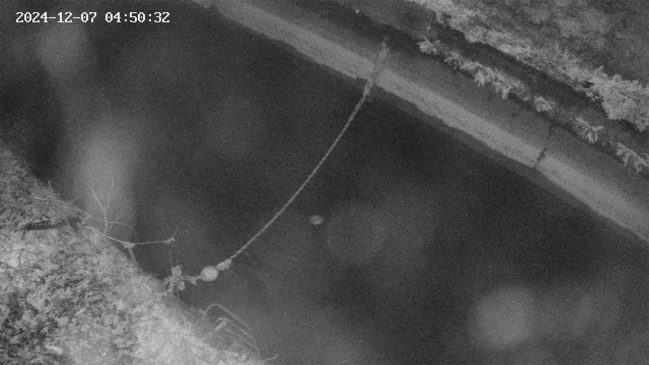 area10-20241207045033.jpg