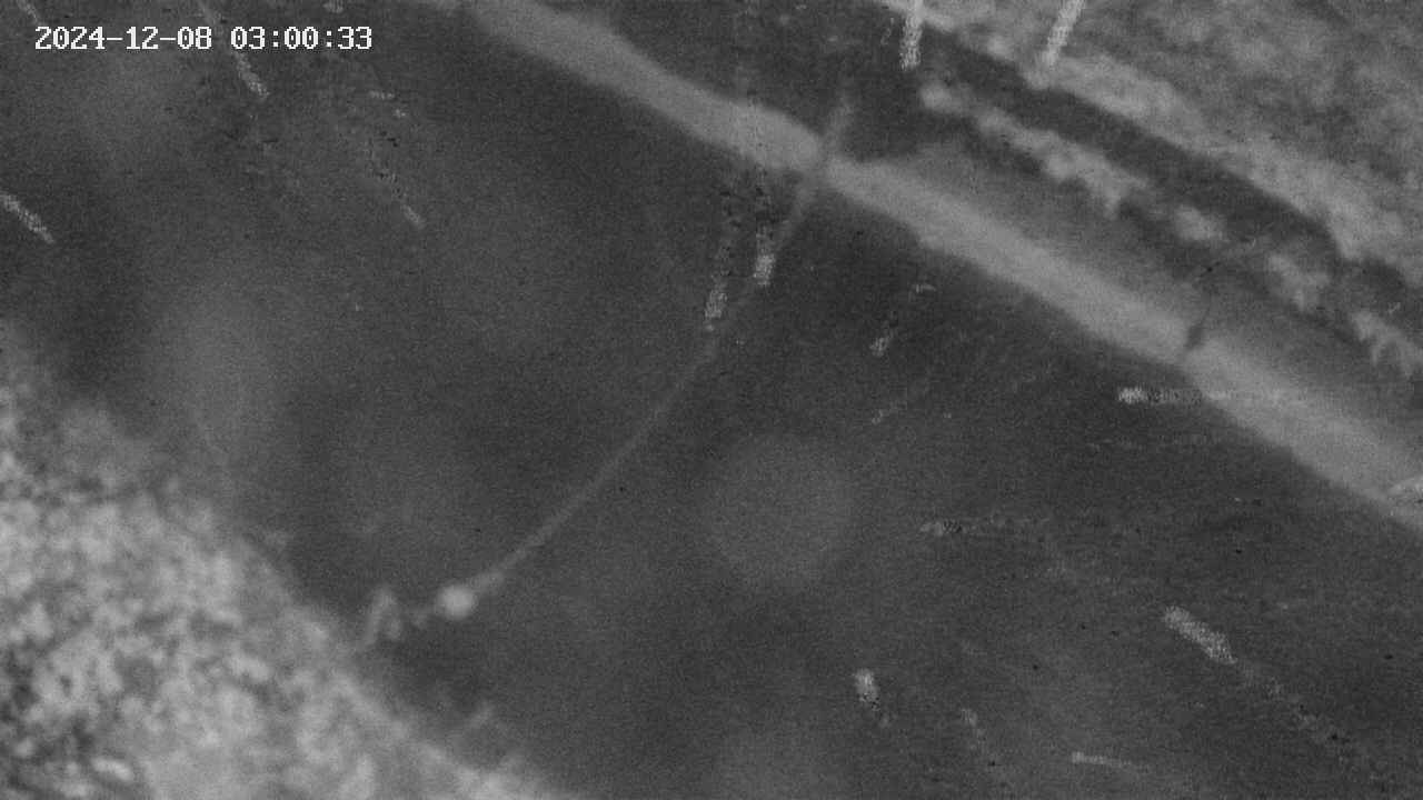 area10-20241208030035.jpg