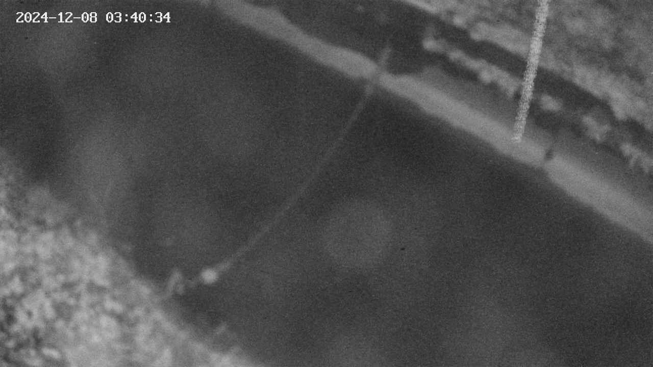 area10-20241208034035.jpg