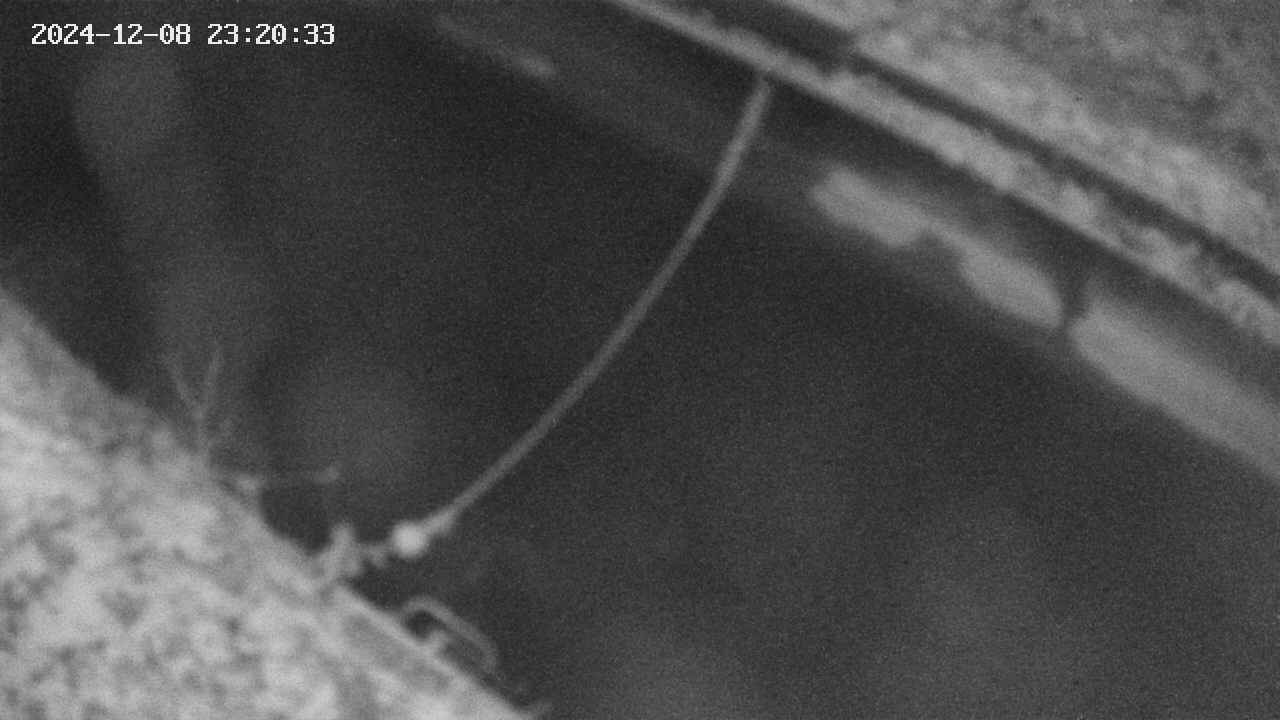 area10-20241208232035.jpg