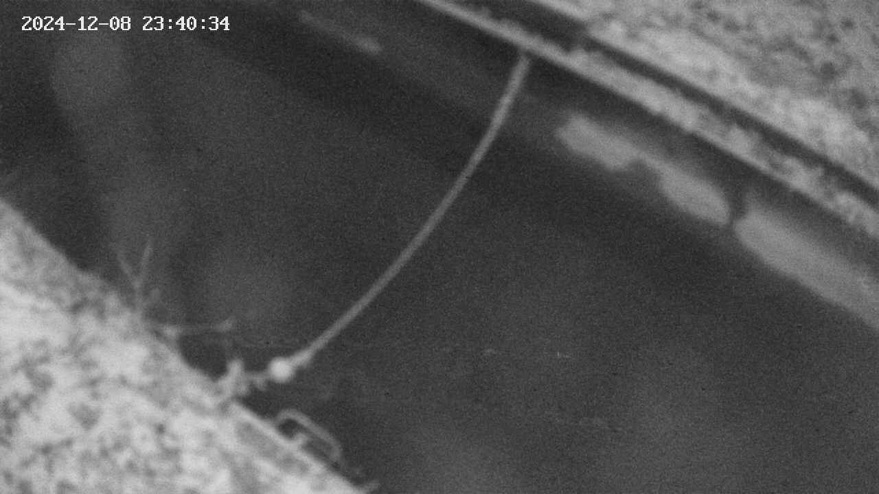 area10-20241208234035.jpg