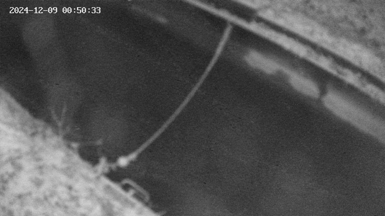 area10-20241209005035.jpg