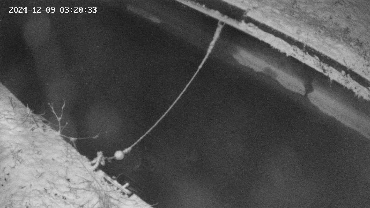 area10-20241209032034.jpg