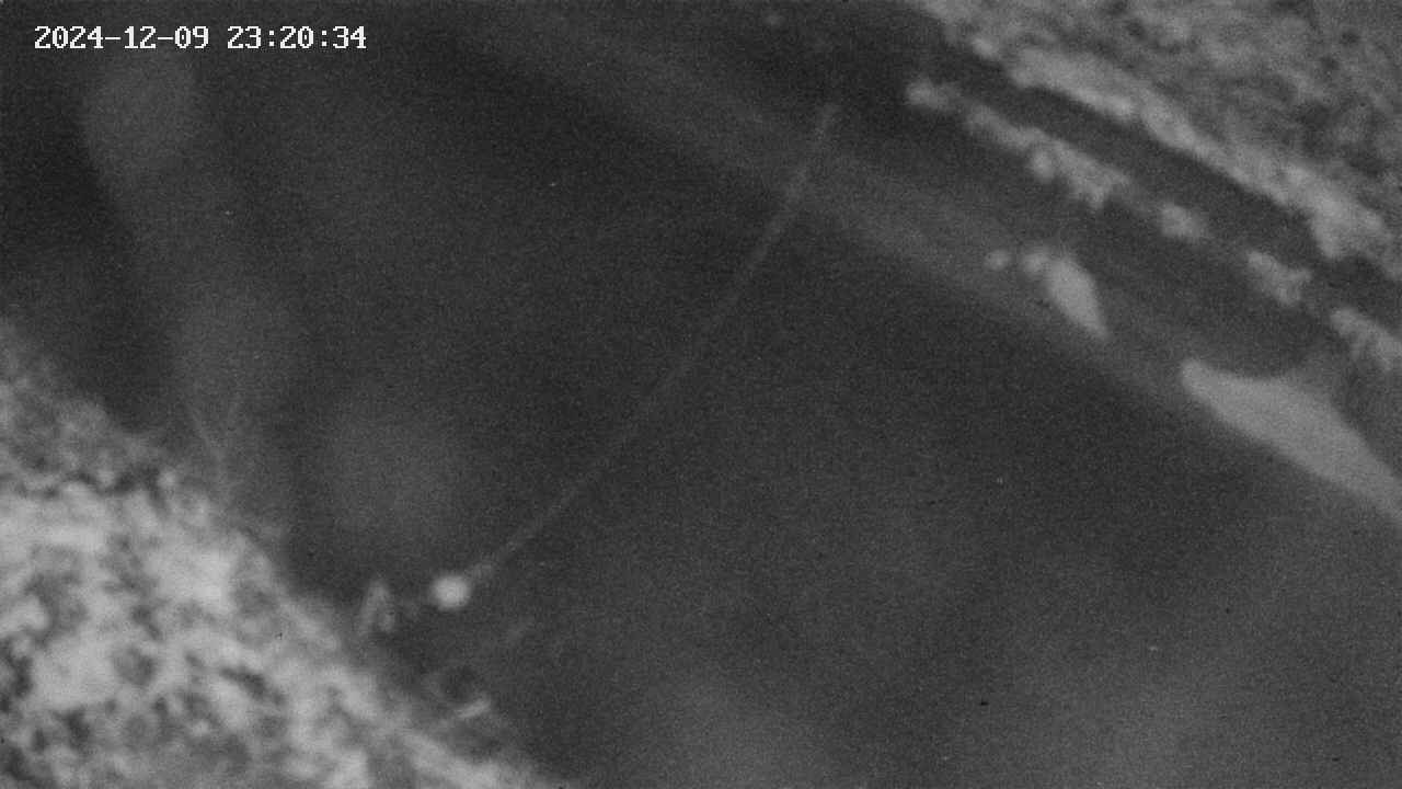 area10-20241209232035.jpg