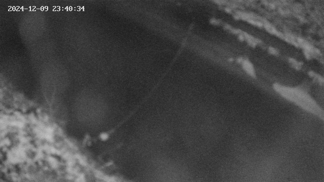 area10-20241209234035.jpg