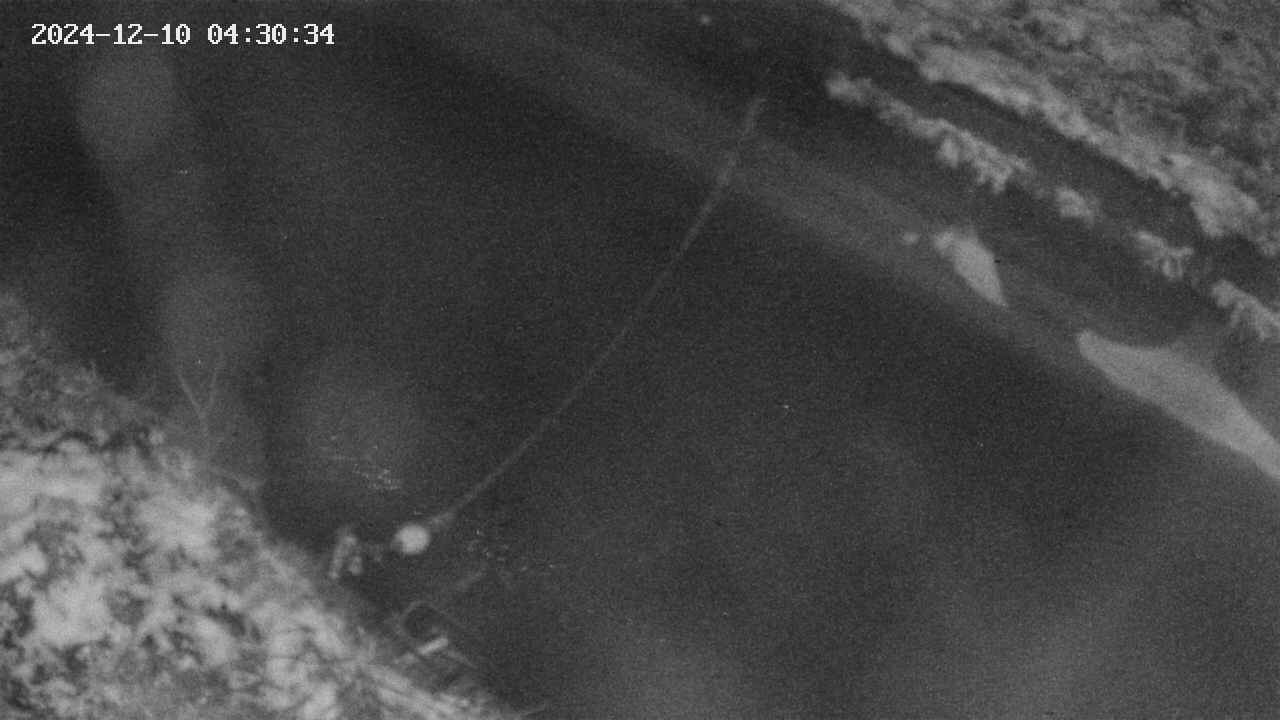 area10-20241210043035.jpg