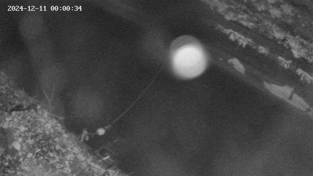 area10-20241211000035.jpg
