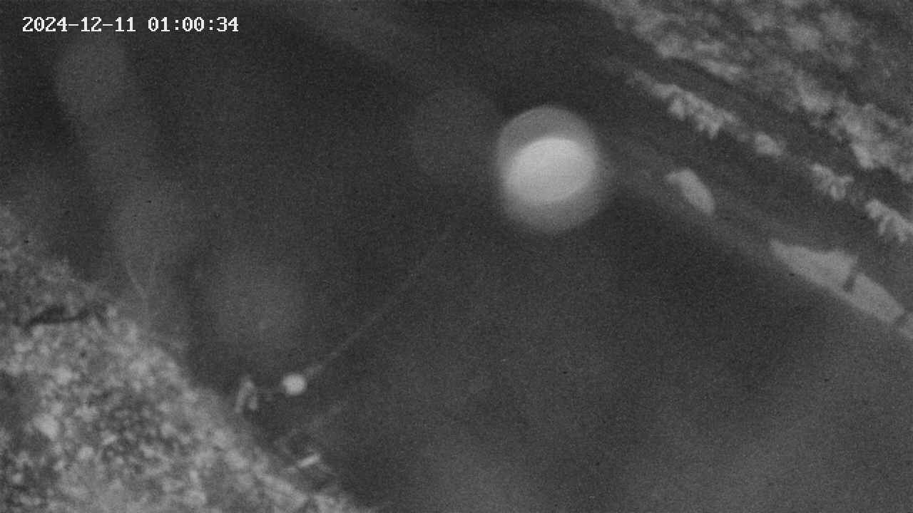 area10-20241211010035.jpg