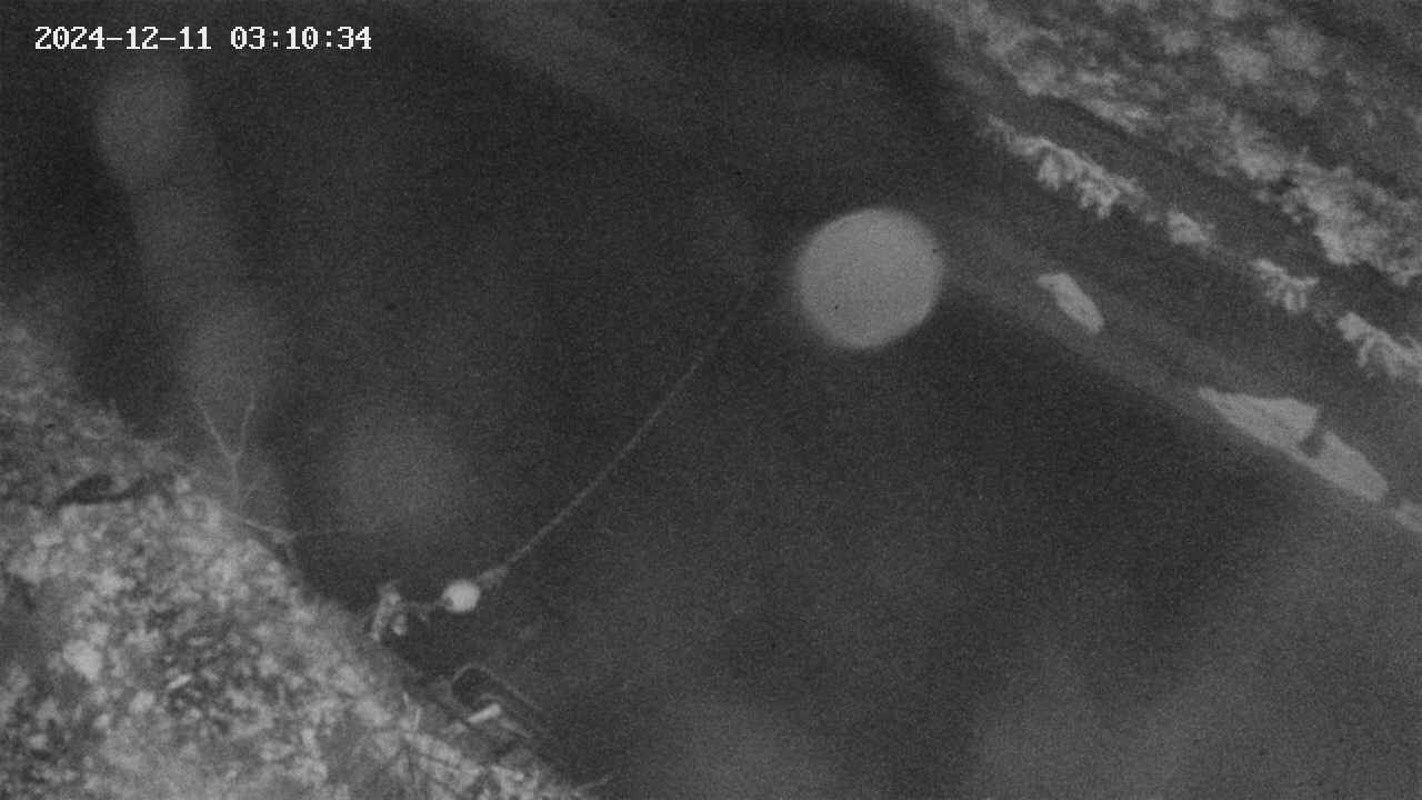 area10-20241211031035.jpg