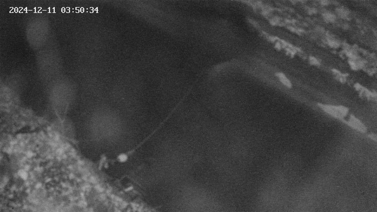 area10-20241211035035.jpg