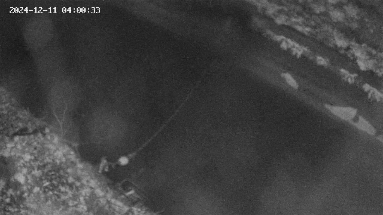 area10-20241211040033.jpg