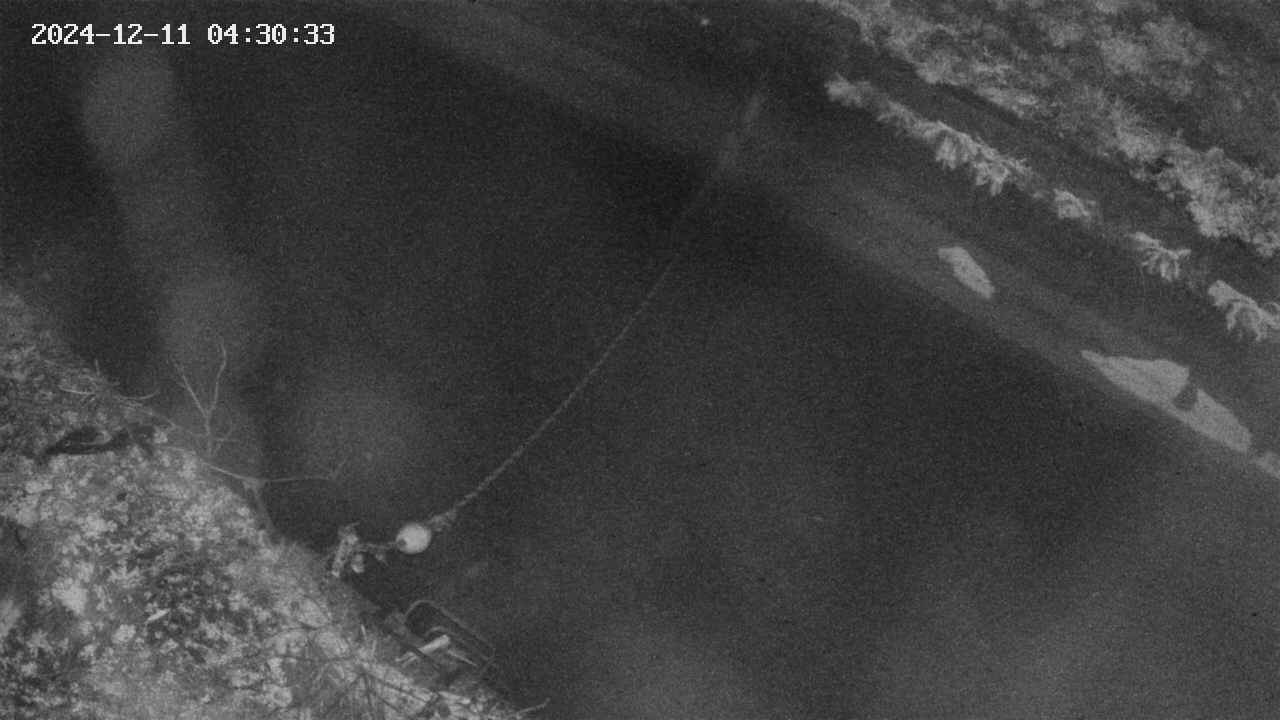 area10-20241211043034.jpg