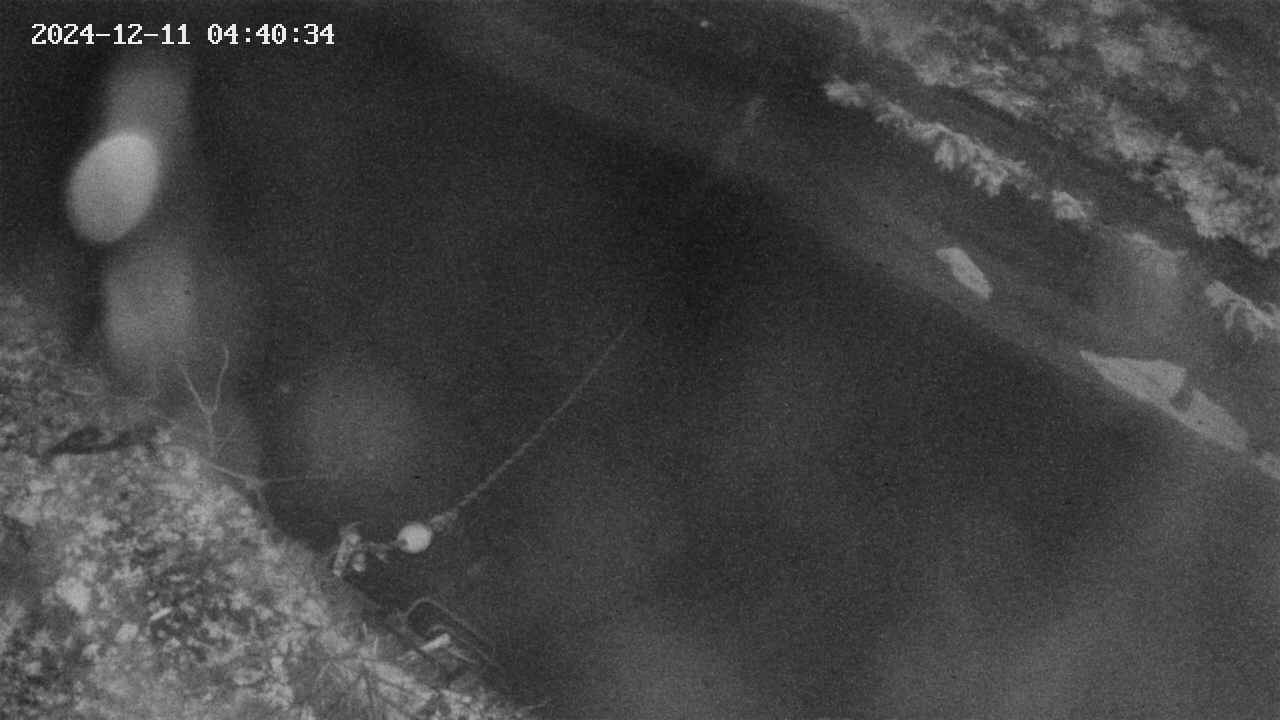 area10-20241211044034.jpg