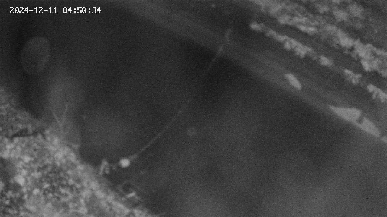 area10-20241211045034.jpg