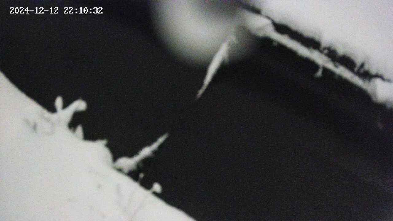area10-20241212221033.jpg