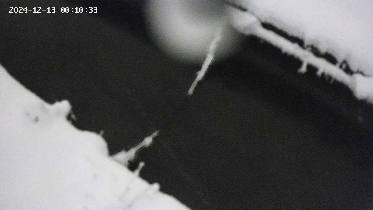 area10-20241213001034.jpg
